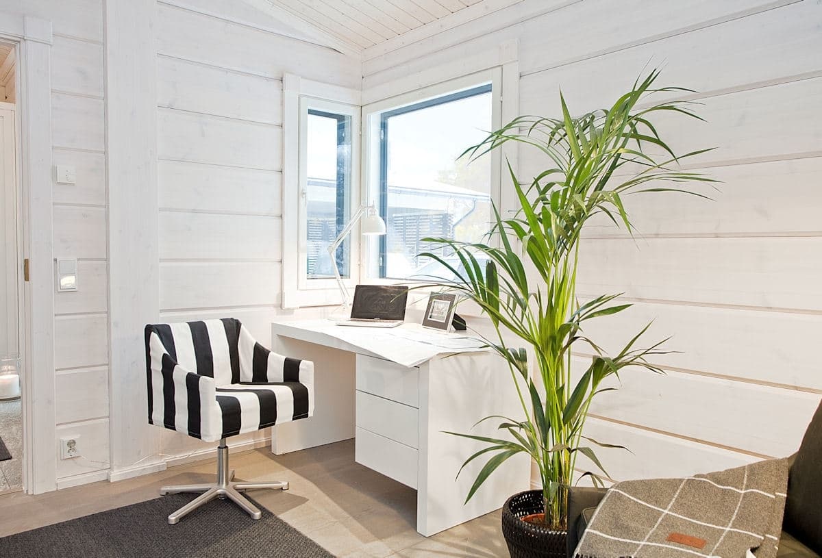 Aurinkometsä — catalog — photo 5